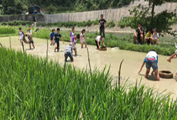貴陽小學(xué)生戶外拓展夏令營(yíng)哪家好?