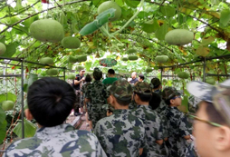  軍事拓展夏令營幫助青少年改善不良習(xí)慣