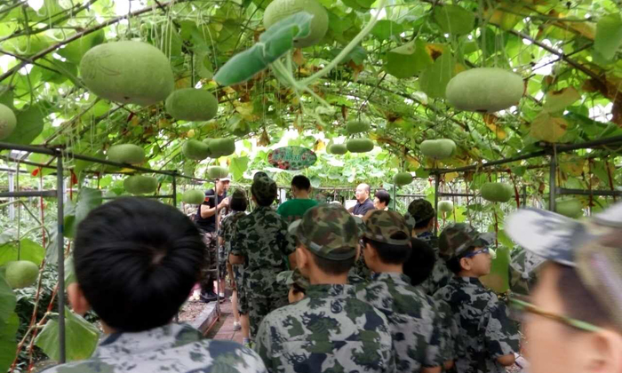 豐富多彩的暑期活動(dòng).jpg