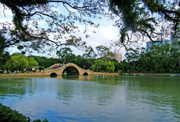 杭州夏令營課程有哪些