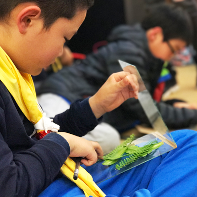 萬寧游學夏令營帶孩子走進更自由的環(huán)境