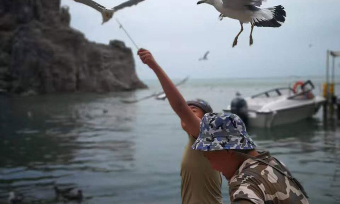 濰坊青少年軍事夏令營有哪些