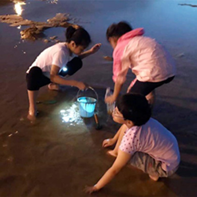 威海拓展夏令營鍛煉孩子自信堅毅的品質(zhì)