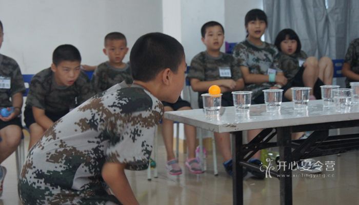 小學(xué)生文化夏令營排名大全