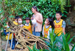 孩子參加青少年文化夏令營(yíng)好嗎？