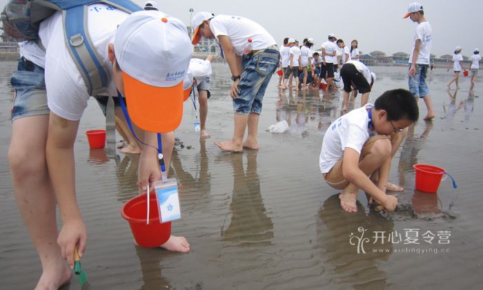 文化暑假夏令營