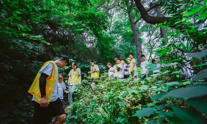 溫州夏令營哪個機構(gòu)好