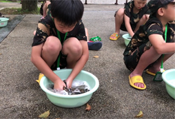 洗刷刷