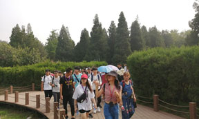 神采奕奕的導(dǎo)游