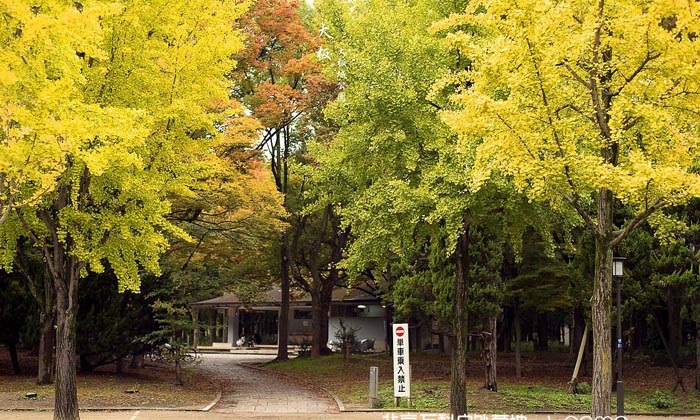 日本游學(xué)