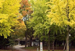 日本游學(xué)