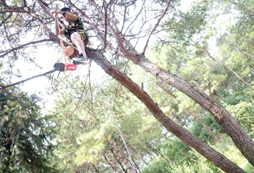 武漢西點軍校軍事夏令營營地
