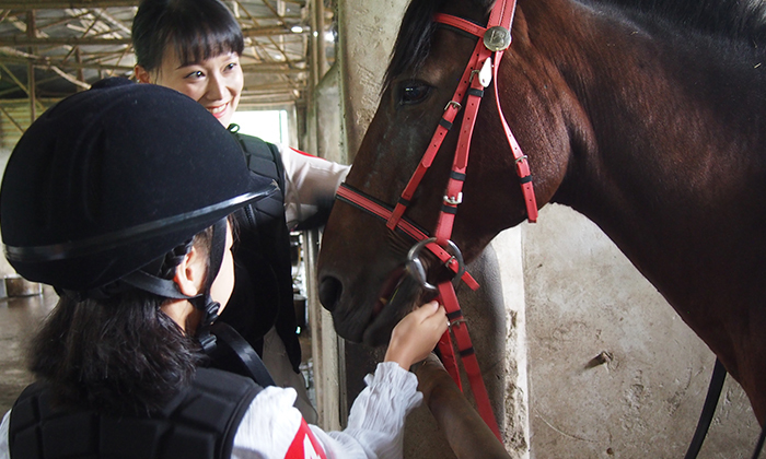 武漢小學生夏令營價格