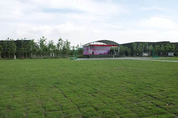 武漢田田教育拓展基地