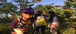 參加武漢小學生夏令營對學生有什么好處