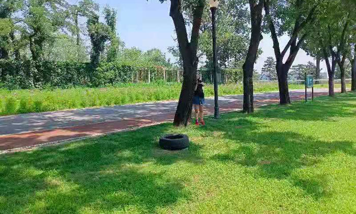 武漢游學(xué)夏令營.jpg