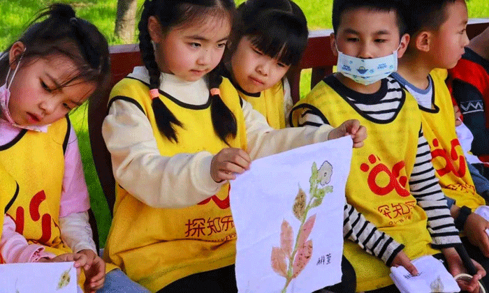 武漢小學(xué)生夏令營價(jià)格