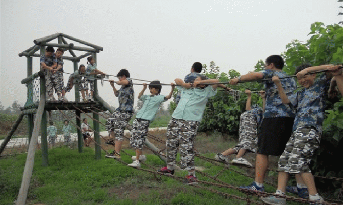 66.gif