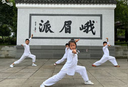 武術夏令營帶給孩子的收獲有哪些