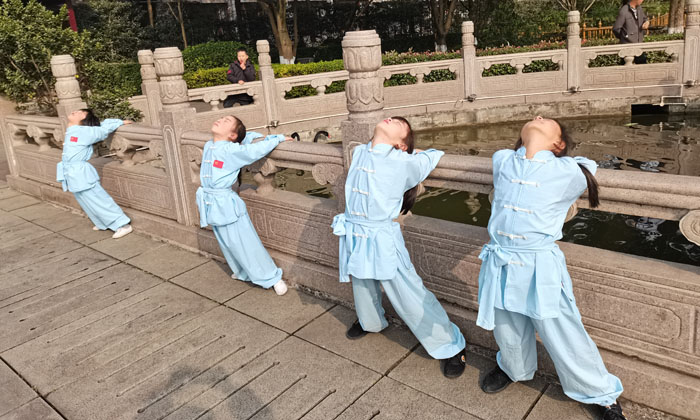 武術(shù)夏令營收獲