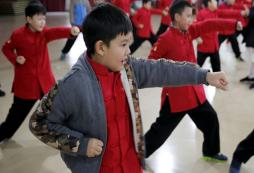  武術夏令營帶你感受武術的魅力
