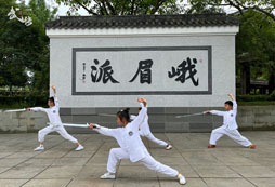 孩子在武術(shù)夏令營(yíng)可以收獲哪些