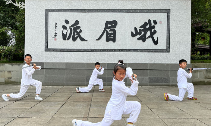武術夏令營對孩子的好處