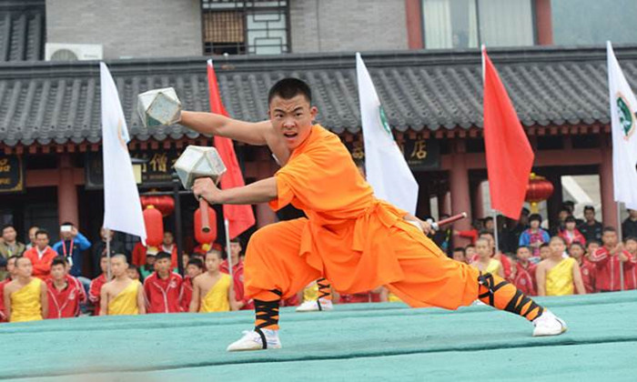 武術(shù)體驗(yàn)夏令營(yíng)