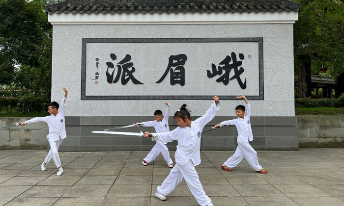 武術(shù)夏令營推薦