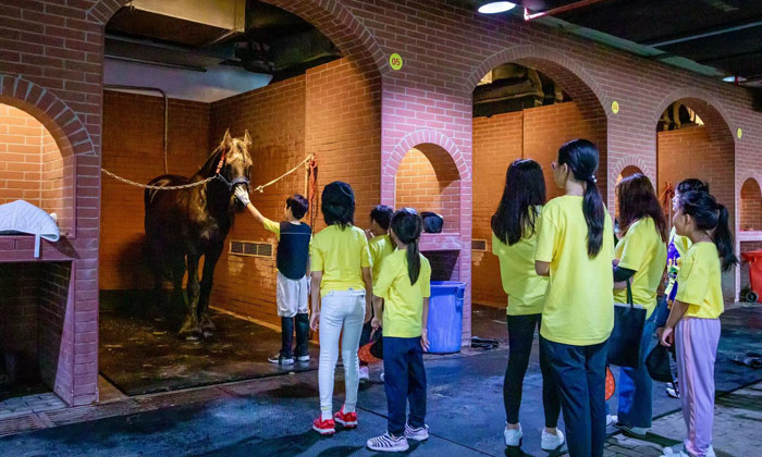 無錫青少年夏令營排名大全