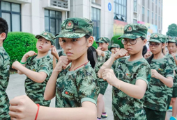 鏗鏘玫瑰