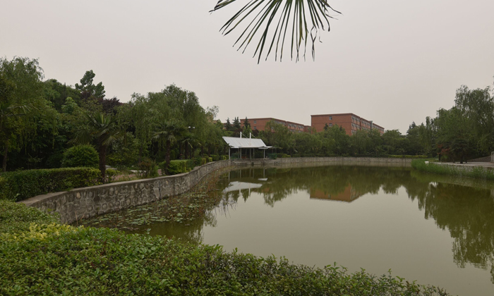 營地湖泊