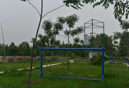 營(yíng)地的拓展項(xiàng)目