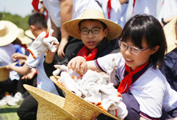 農(nóng)作小能手