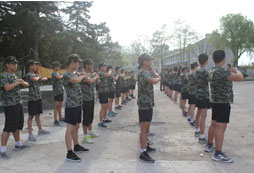 軍事晨練龍拳