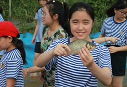 摸魚