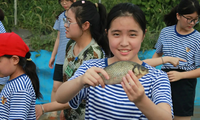 摸魚