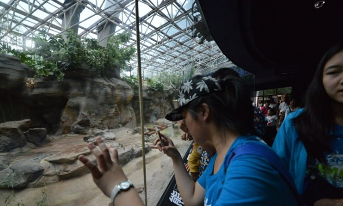 探秘北京動物園