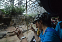 探秘北京動物園