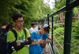 你對這里的動物知多少？
