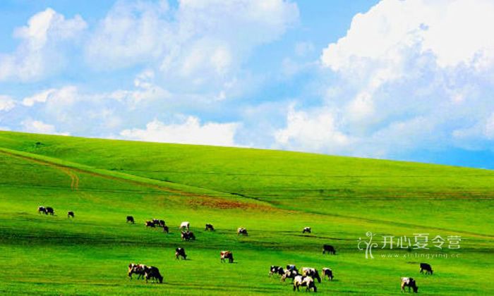 小貴族夏令營(yíng)給孩子一片藍(lán)天