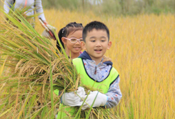 武漢小伙伴夏令營孩子自然教育的絕佳場地