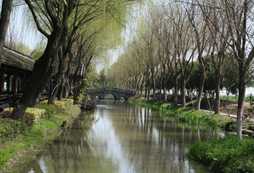 孩子們外出旅游