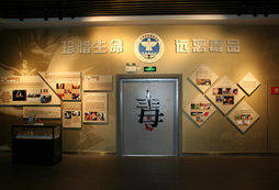 小海豚夏令營(yíng)安全模擬