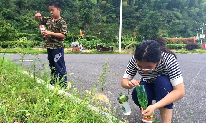 廈門軍事夏令營
