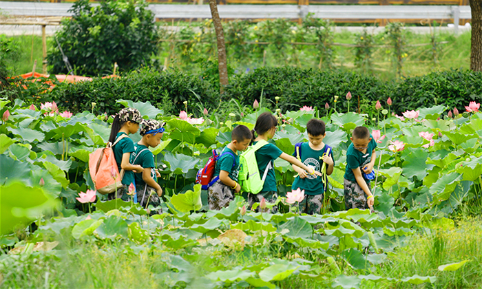 短期的與長期的廈門軍校夏令營的區(qū)別.jpg