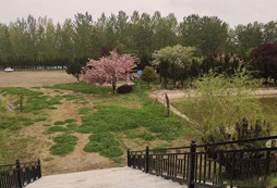 西安臨潼溪源山莊拓展訓(xùn)練基地