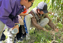 小蛋殼科考夏令營營地好不好？