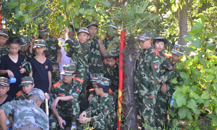 2024年小學(xué)生夏令營(yíng)