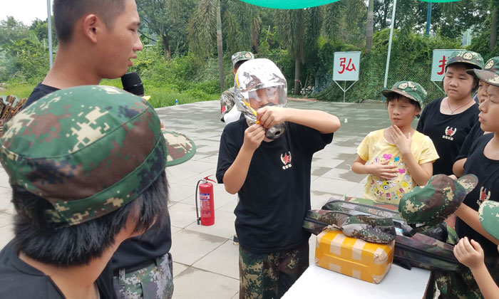 小學(xué)生夏令營怎么樣